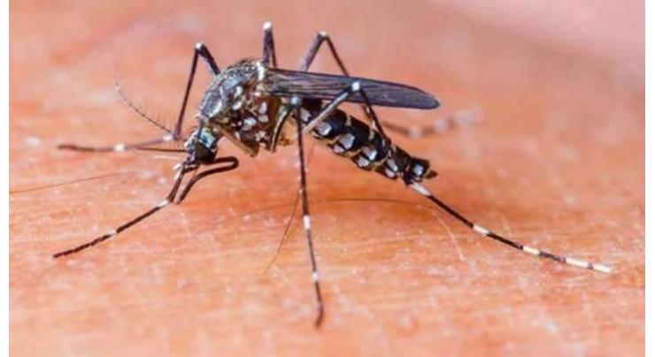 ADC directs to accelerate surveillance to control dengue
