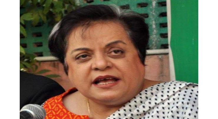 Shireen Mazari calls for probe against officials for failing to secure membership of FATF
