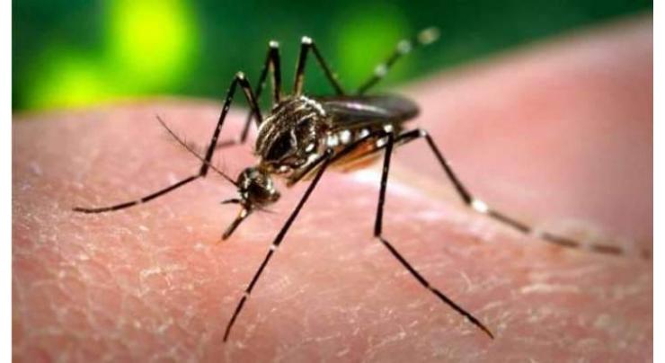 ADC for expediting surveillance activities to control dengue
