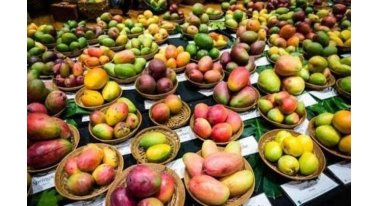 Sindh Agriculture Minister inaugurates 2-day Mango Festival
