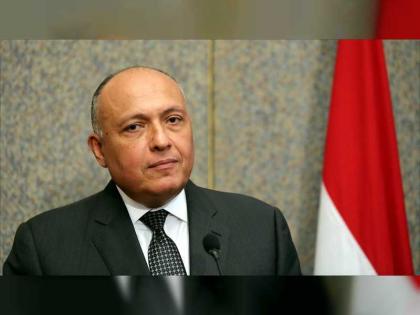 مصر تدعو إلى تنسيق الجهود لمنع نفاذ المقاتلين الفارين من المعارك في سوريا إلى دول المنطقة
