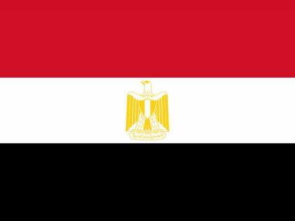 مصر تدين استهداف ميليشيات الحوثي لمطار أبها الدولي بالسعودية‬