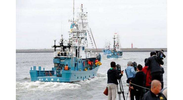 Japan whale restaurants cheer hunt resumption
