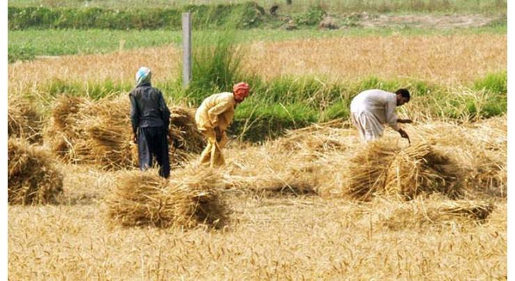 Poor policy, governance structure main impediments in agriculture development:Chairman PARC
