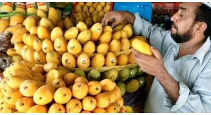 3-day Pakistani Mango festival kicks off  in UAE
