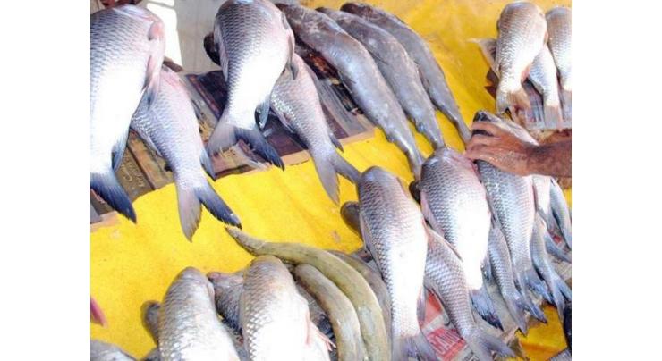 DG Fisheries announces fishing close season
