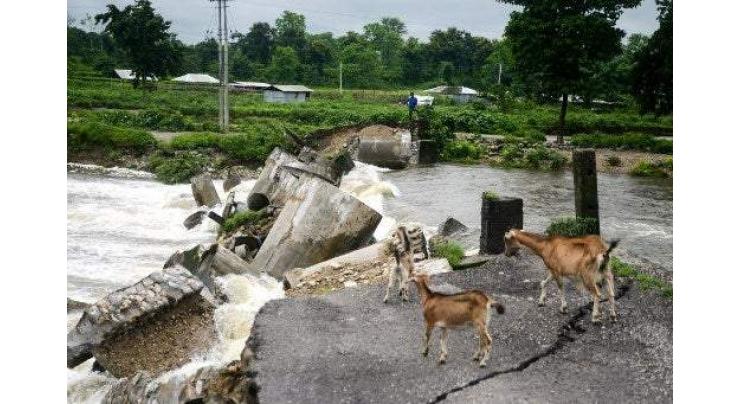 Tiger, rhinos flee to higher ground in India's flood-hit Assam
