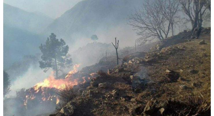 124 forest fires incidents occurred this year in KPK; scorching weather, pyromaniac attitude responsible
