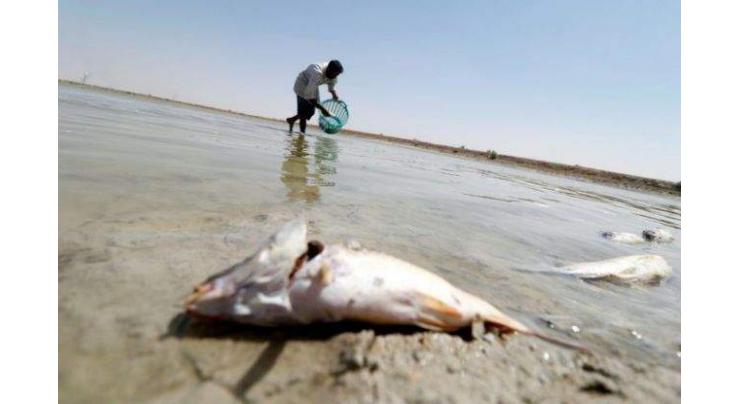 More Basra water crises unless Iraq govt fixes 'failures': HRW
