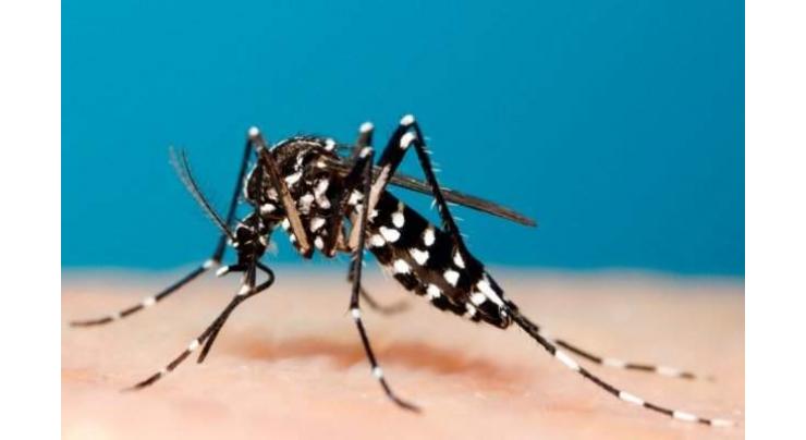 Preventive measures must against dengue: Dr Alfareed
