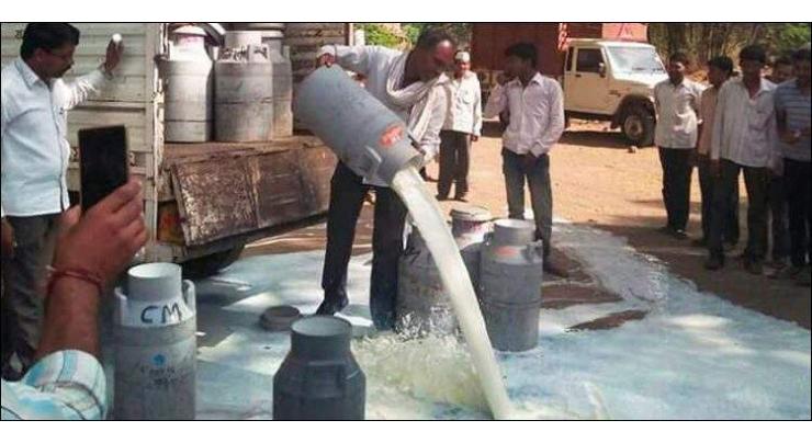 Haripur administration discards 2100 liters adulterated milk
