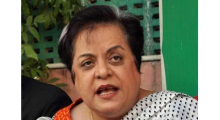Minister asks EU to take notice of Human Rights violations in IoK