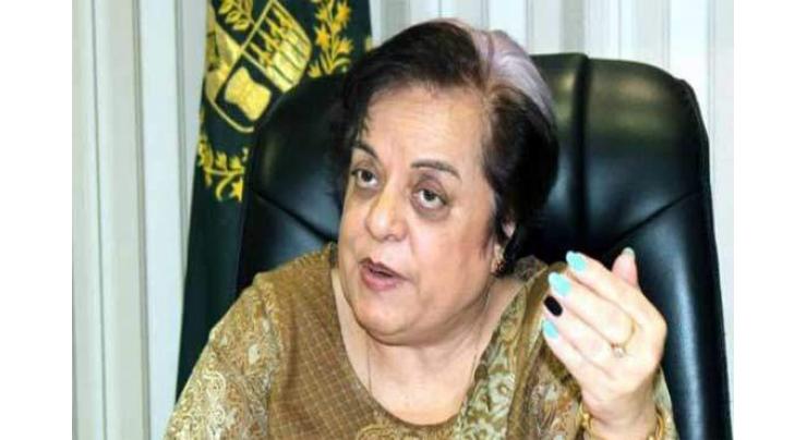 Dr Shireen M Mazari writes letter to OHCHR on Indian use of cluster bombs, forces violence in Jammu valley