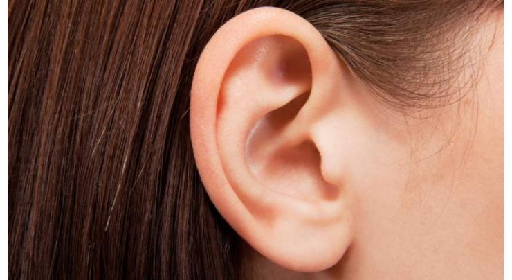 Protein discovery could lead to new hearing loss treatments