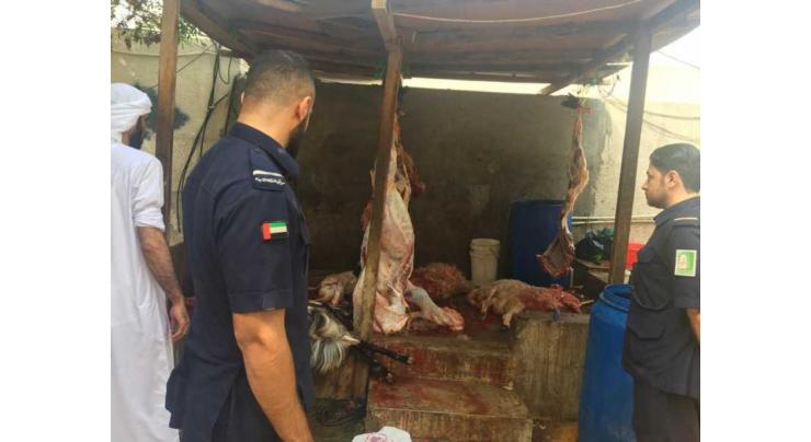 Sharjah Central Abattoir slaughters around 3,000 sacrificial animals