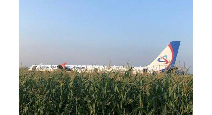 Russian Airbus makes emergency landing in corn field
