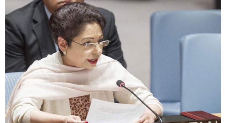Pakistan expects UNSC to address Kashmiris' plight, sufferings : Maleeha
