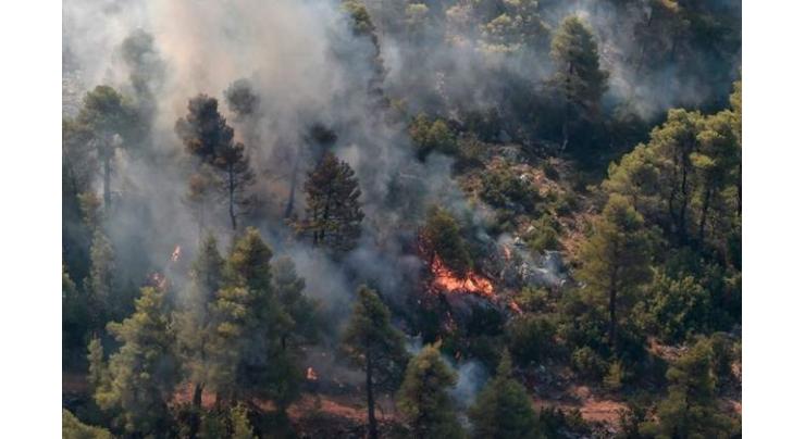 Greek fire crews make progress on island blaze
