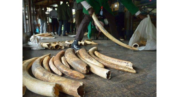 Wildlife summit mulls trade rules to counter 'unprecedented' species declines
