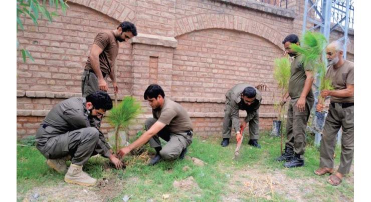Walk held to raise awareness on Plant for Pakistan programme
