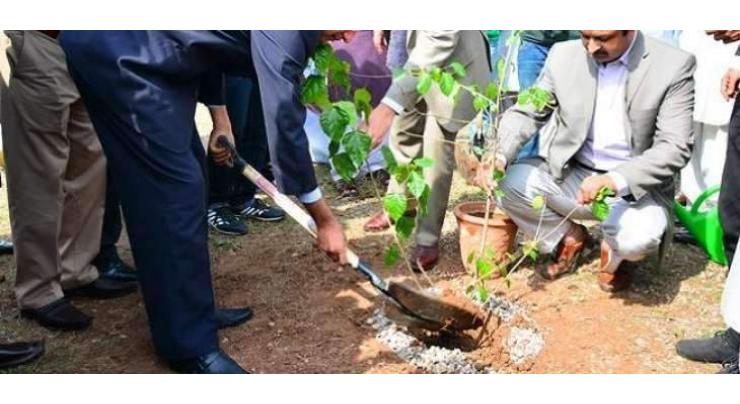 Rector IIUI plants sapling on National Day for Plantation
