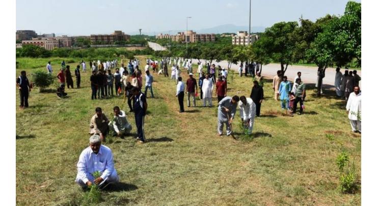 NUST students, employees plant saplings to mark #Plant4Pakistan Day