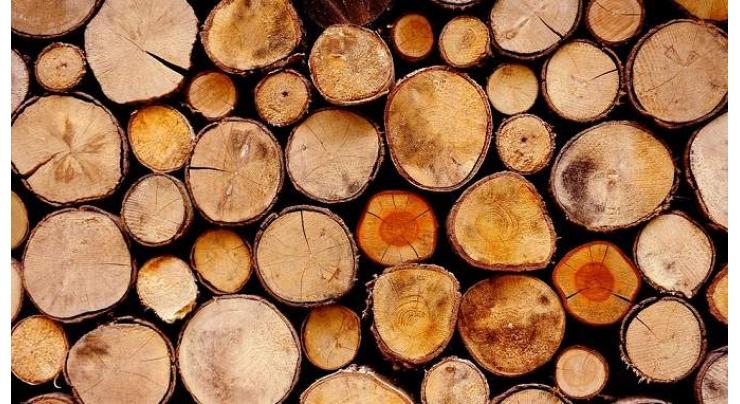Russian Industry Minister Speaks Against Ban on Timber Exports to China