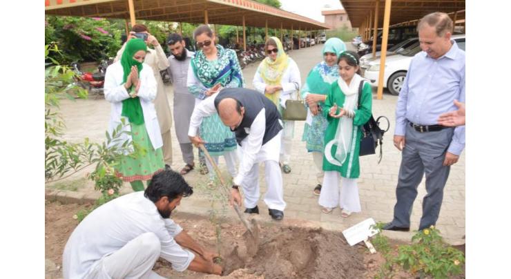 Gomal University launches tree plantation drive under 'Plant for Pakistan programme'
