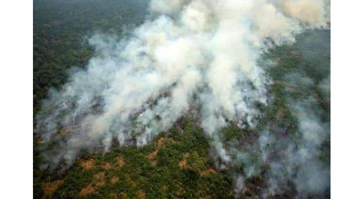  Macron Wants to Help Brazil Put Out Fires, But May Need to Learn More About Rainforest