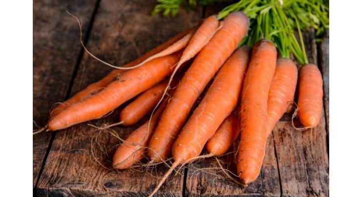 Growers advised to start carrot cultivation in September
