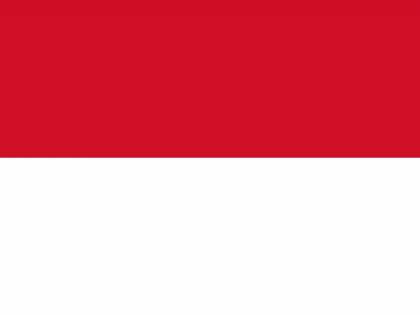 إندونيسيا : فقدان 34 شخصا جراء اشتعال حريق على متن عبارة