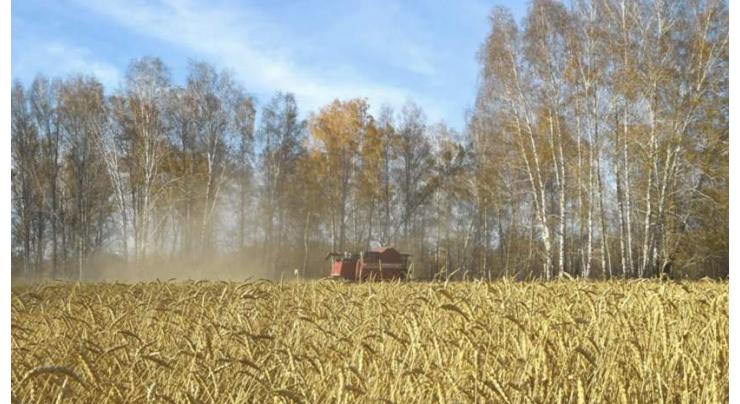 Damage Russian Farmers Face Over Emergency Situations to Reach $142.3Mln in 2019- Official