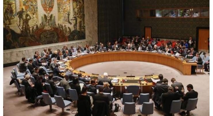 UNSC 'Laughably Absent' From Addressing Violations of Stockholm Accord on Yemen - NGO