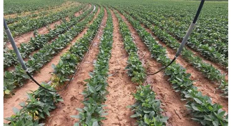 Drip irrigation system vital for agriculture
