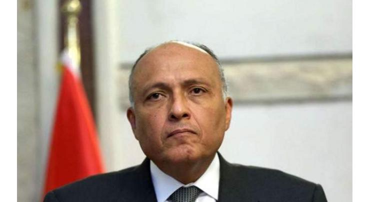 Egyptian, UAE Top Diplomats Exchange Views on Regional Issues Ahead of LAS Session - Cairo