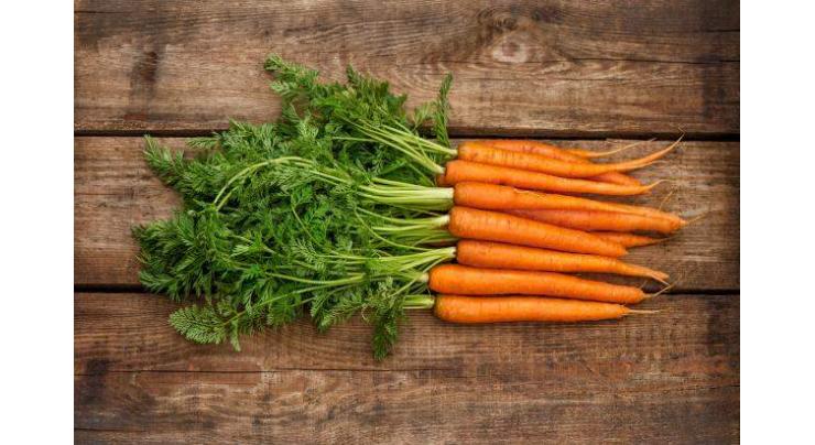 Carrot cultivation to be started immediately
