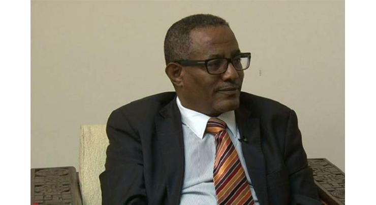 Ethiopian Foreign Minister Discussed Russia's Engagement in Ethiopian Railway Construction