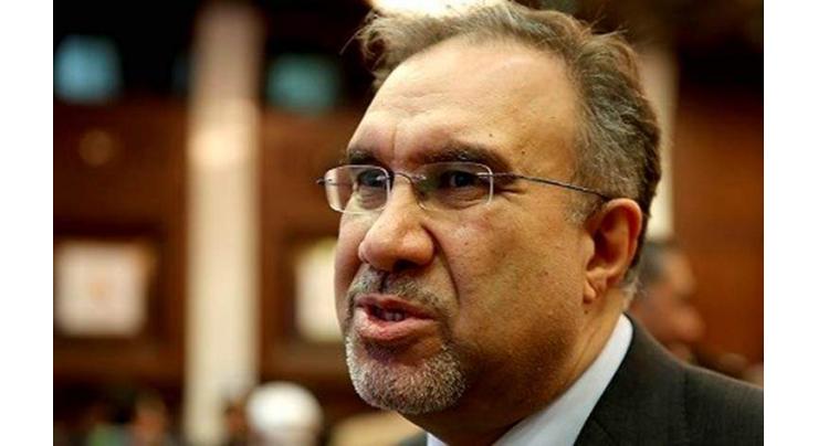 Iraq, GCC States to Establish Joint Electricity Market - Iraqi Electricity Minister