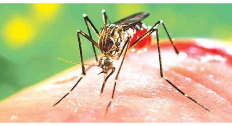 Environment Dept launches anti-dengue drive
