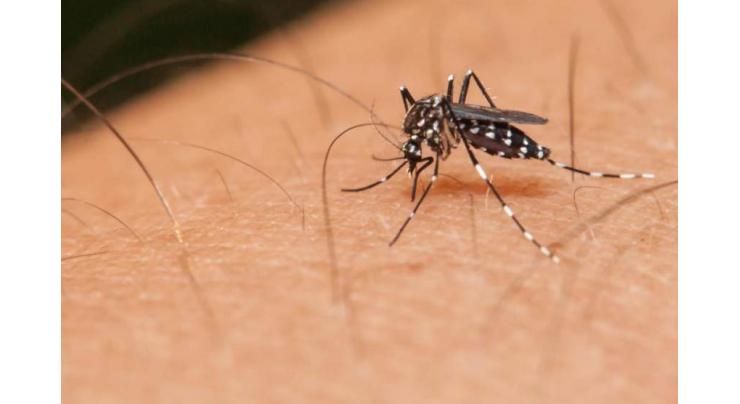 High level meeting held to review measures taken against dengue virus
