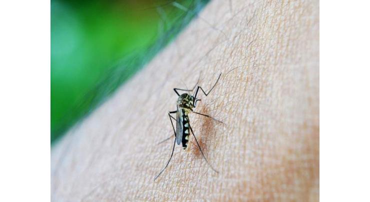 Anaemia may contribute to the spread of dengue: Study
