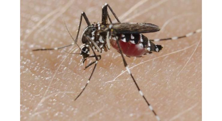 Expert stresses public for taking appropriate measures against Dengue virus
