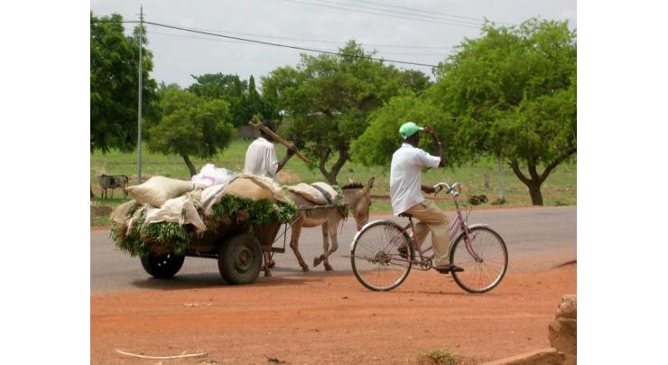 Bike, donkey cart collision takes life of teacher
