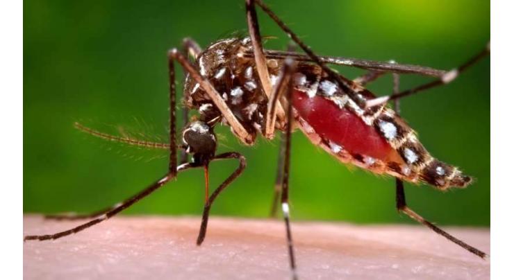 Deputy Commissioner lasbela takes notice of dengue virus
