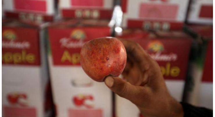 Apples rot in Occupied Kashmir orchards, as lockdown puts economy in tailspin
