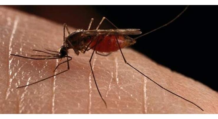 Ijaz Vohra urge public for early prevention measures of 'dengue fever'
