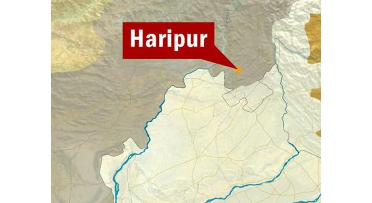 Model court Haripur acquits three accused of Kalaly murder case
