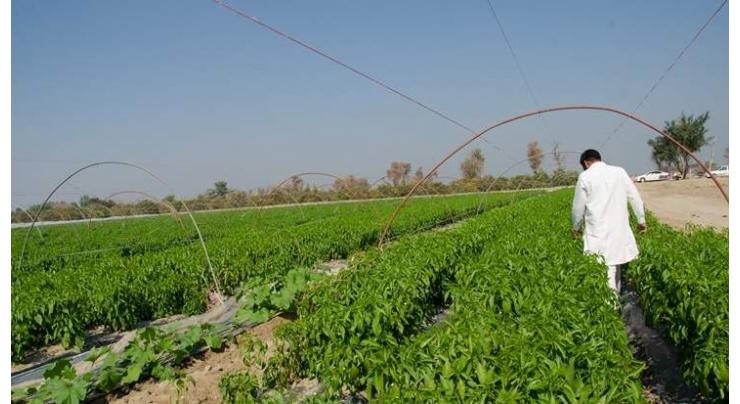 Youth training course concludes with vows to adopt modern irrigation techniques
