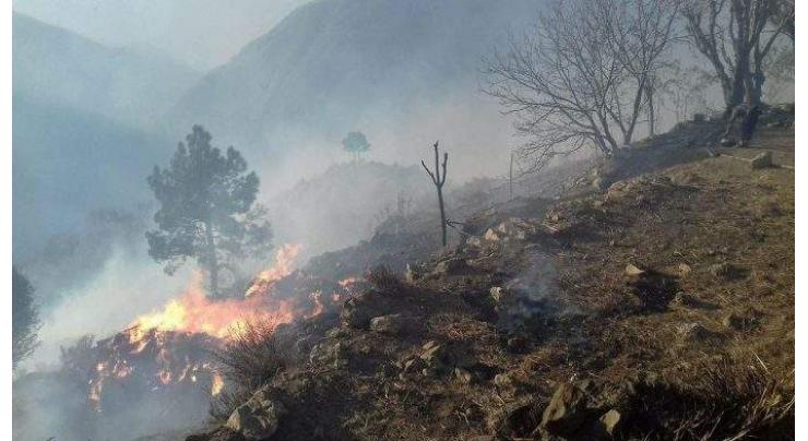 Several incidents of forest fires occurred in KP