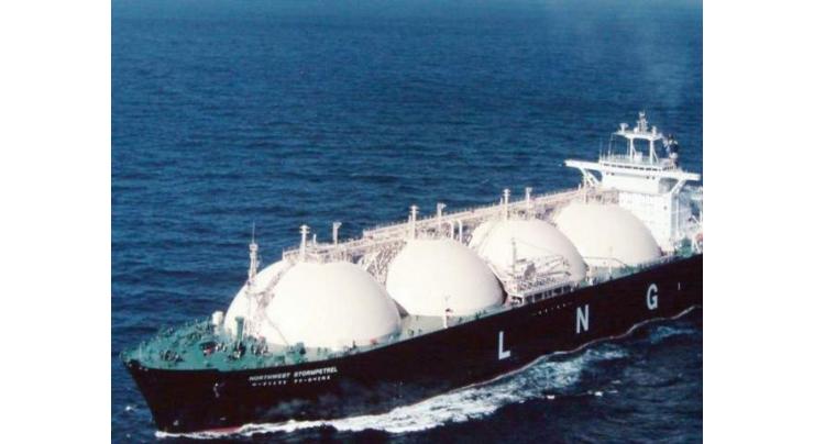 Energy Ministry contradicts news about LNG terminals
